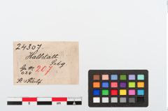 Etiketten zu Bronzeschlangenfibel (NHMW-PRAE-024307)
